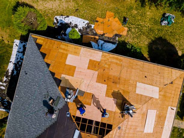 Best Roof Gutter Cleaning  in Monroeville, IN